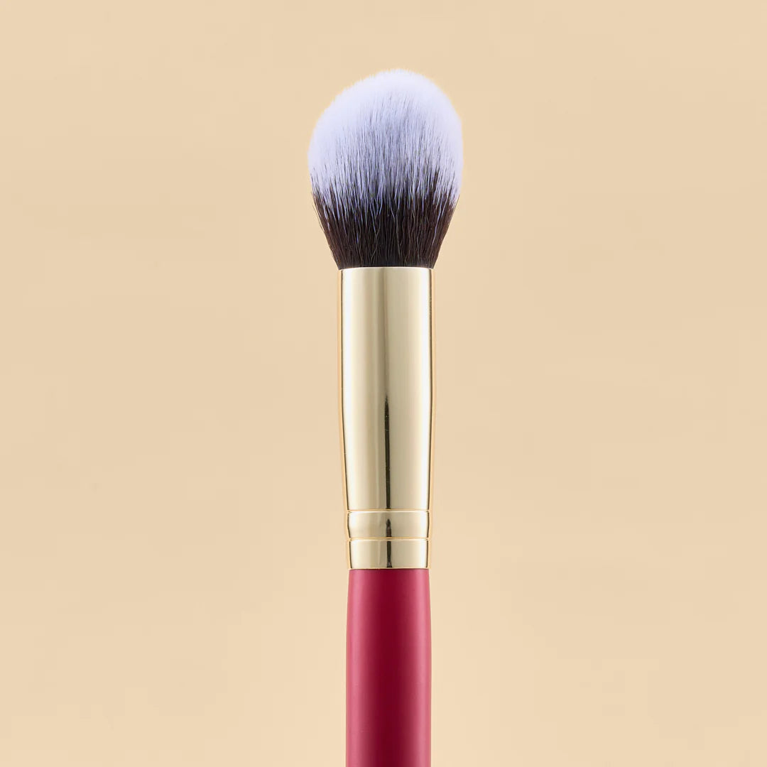 KIT DE BROCHAS SCARLET OJOS X21 PCS