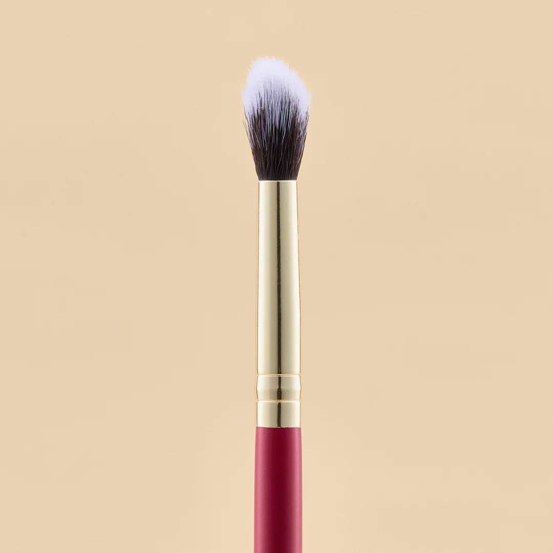 KIT DE BROCHAS SCARLET OJOS X21 PCS