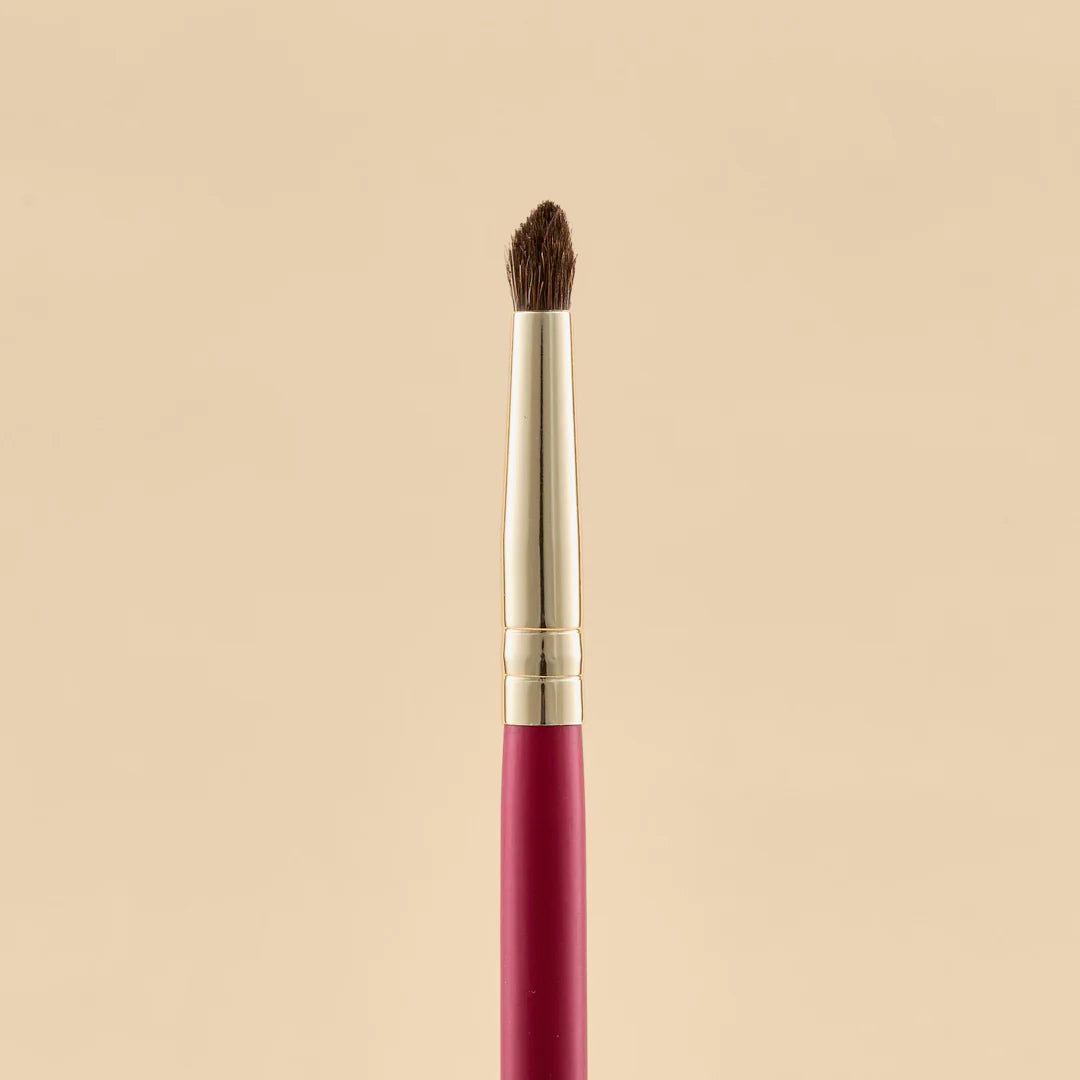KIT DE BROCHAS SCARLET OJOS X21 PCS