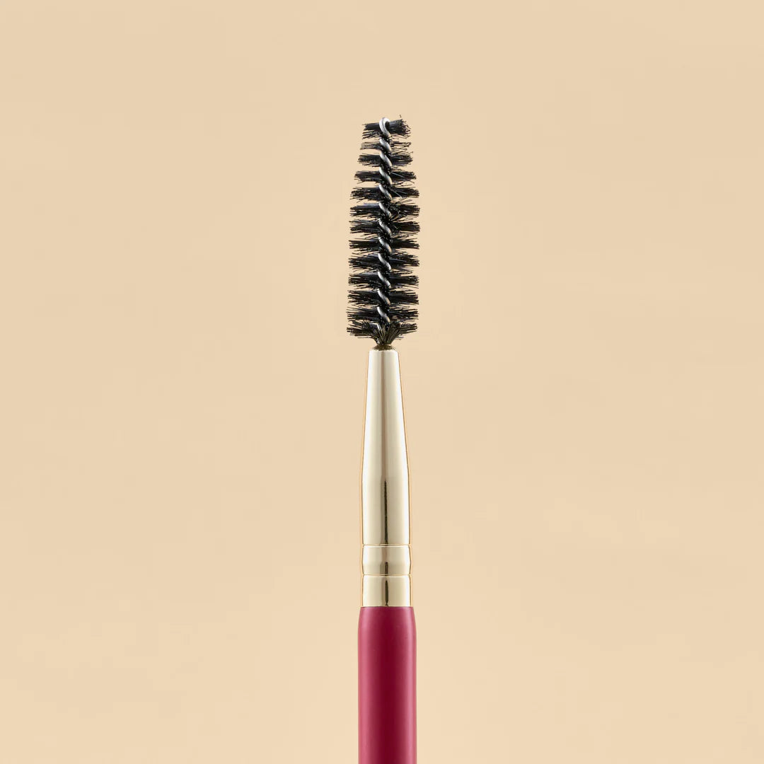 KIT DE BROCHAS SCARLET OJOS X21 PCS