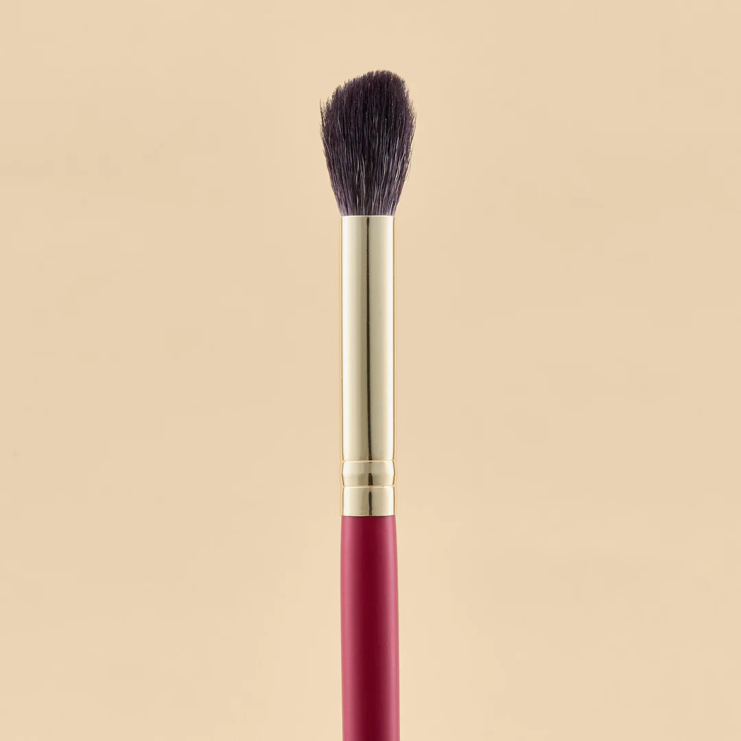 KIT DE BROCHAS SCARLET OJOS X21 PCS