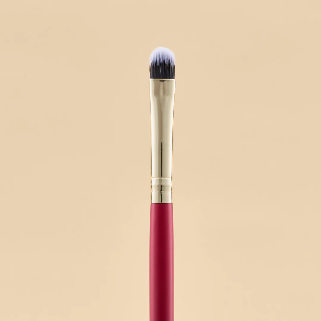 KIT DE BROCHAS SCARLET OJOS X21 PCS