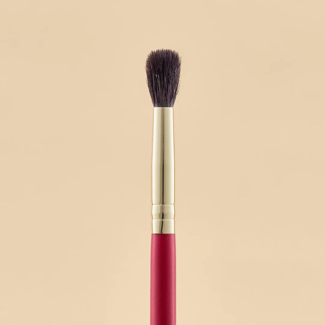 KIT DE BROCHAS SCARLET OJOS X21 PCS