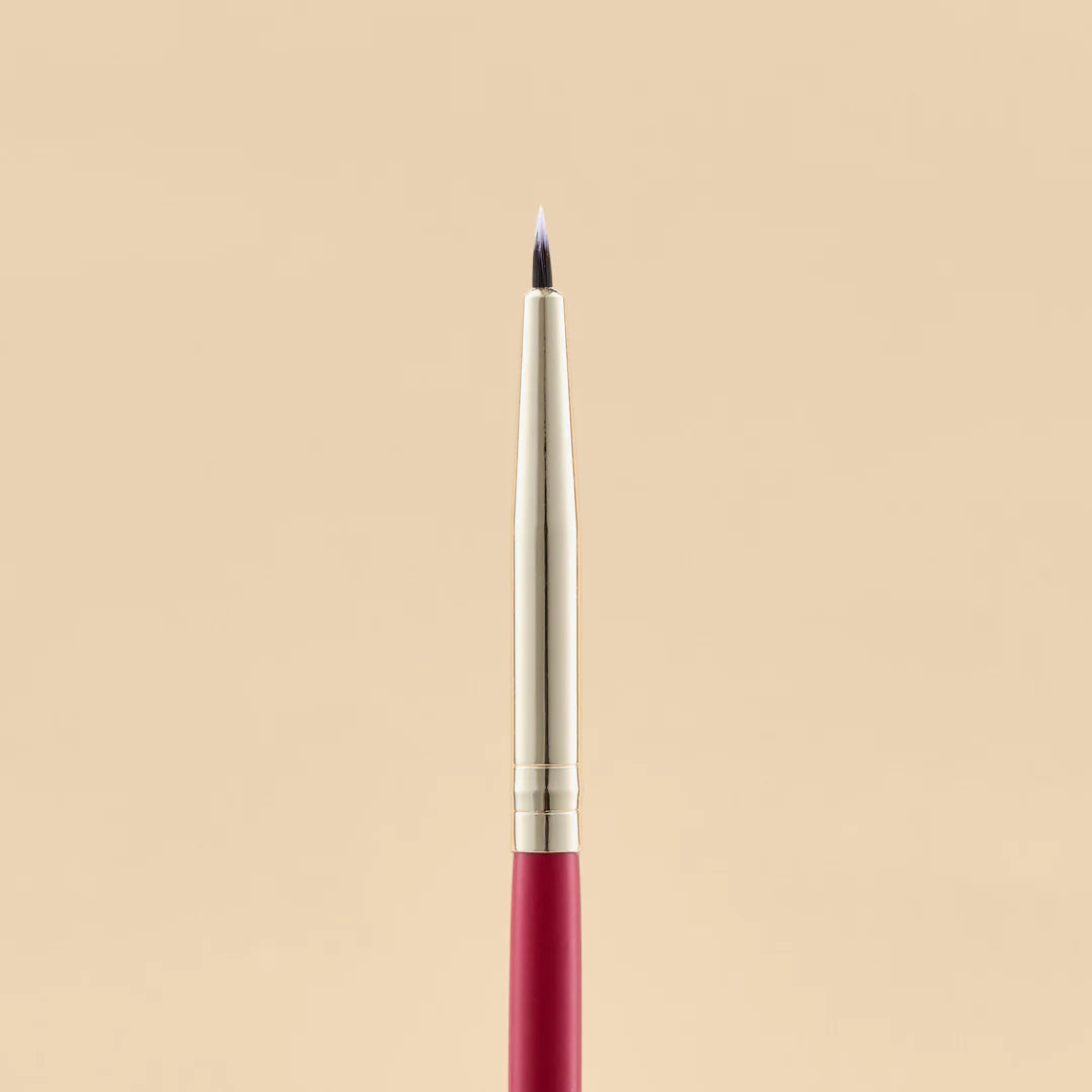 KIT DE BROCHAS SCARLET OJOS X21 PCS