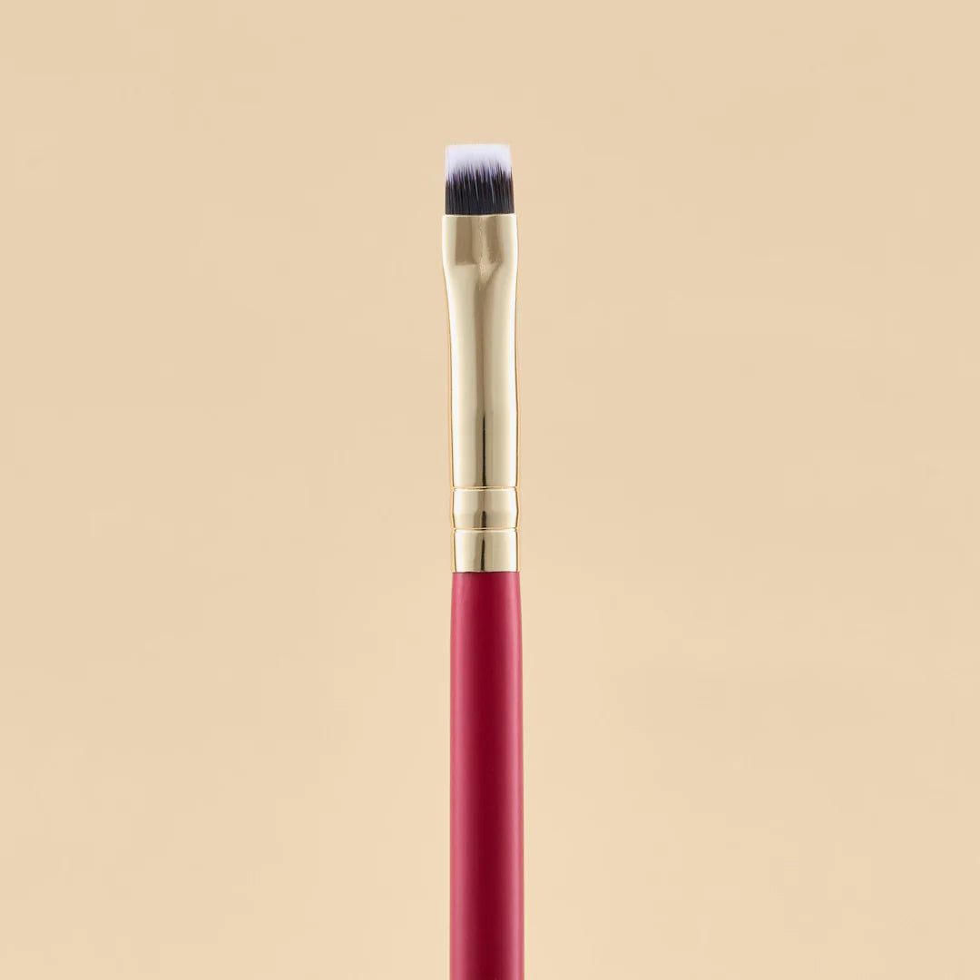 KIT DE BROCHAS SCARLET OJOS X21 PCS