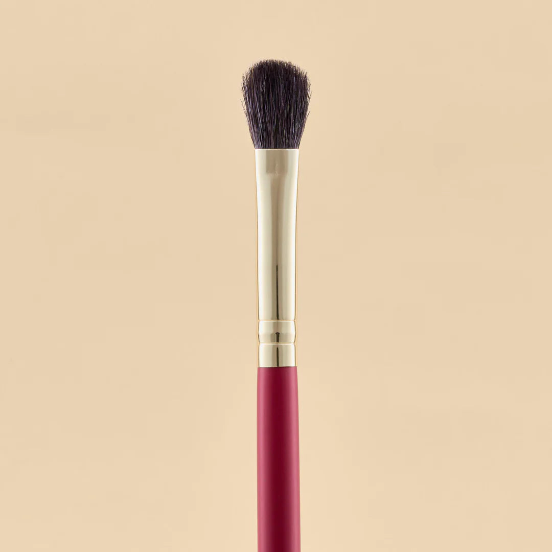 KIT DE BROCHAS SCARLET OJOS X21 PCS
