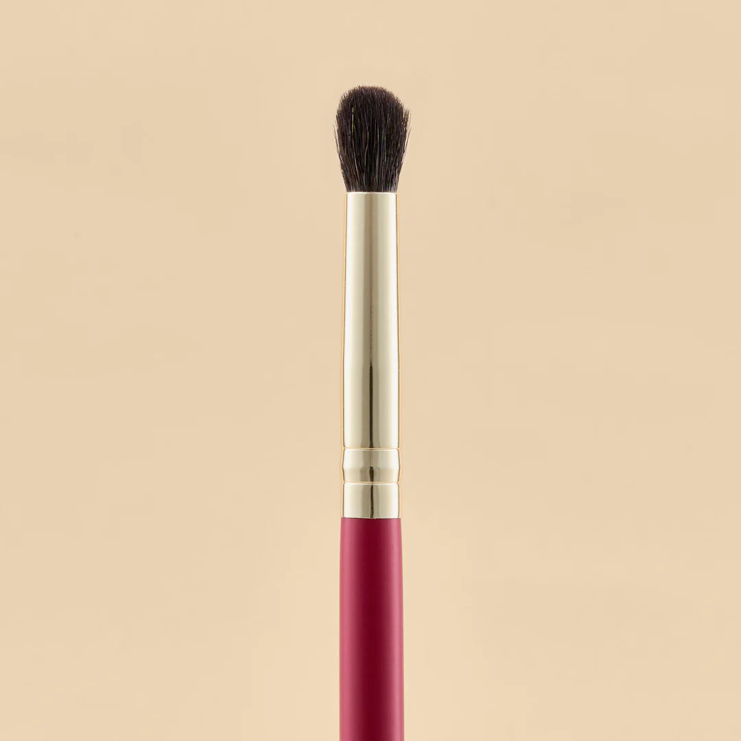 KIT DE BROCHAS SCARLET OJOS X21 PCS