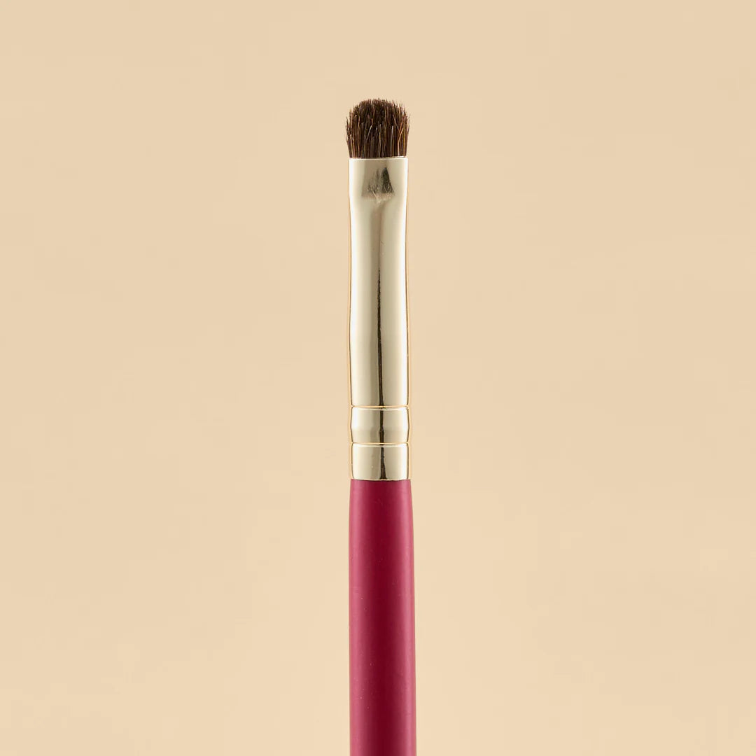 KIT DE BROCHAS SCARLET OJOS X21 PCS