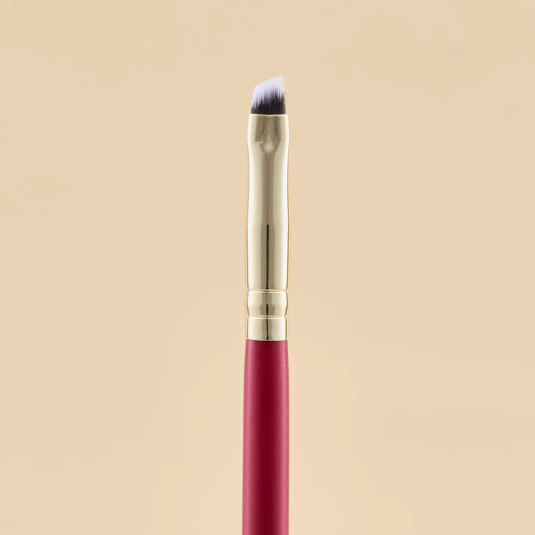 KIT DE BROCHAS SCARLET OJOS X21 PCS
