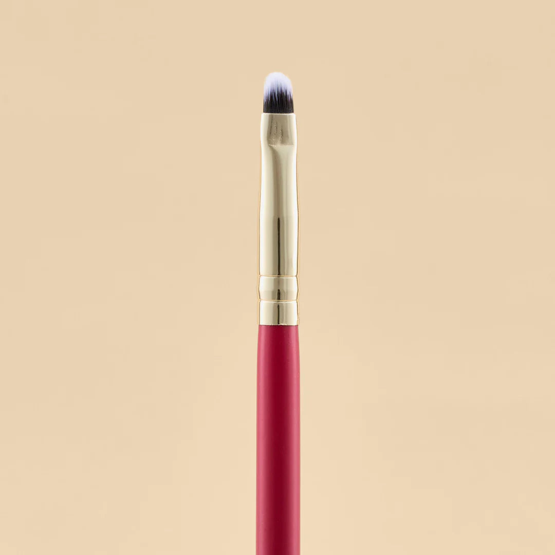 KIT DE BROCHAS SCARLET OJOS X21 PCS