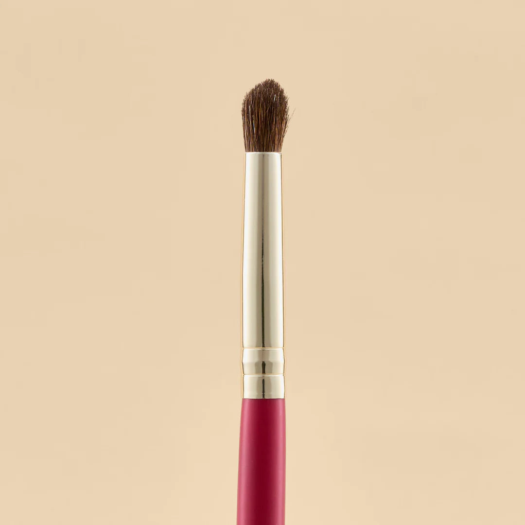 KIT DE BROCHAS SCARLET OJOS X21 PCS