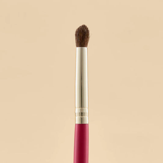 KIT DE BROCHAS SCARLET OJOS X21 PCS
